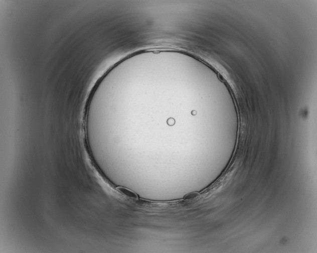 X0000100191485200806131156