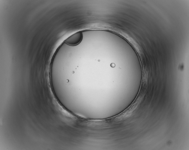 X0000100191486200806131156