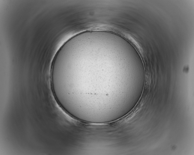 X0000100191487200806131156