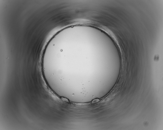 X0000100191488200806131156