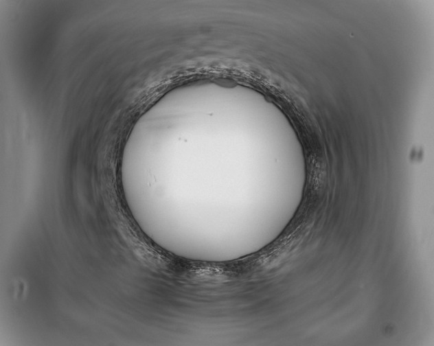 X0000100191489200806131155