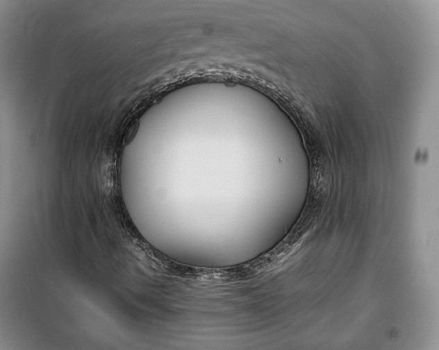 X0000100191490200806131155