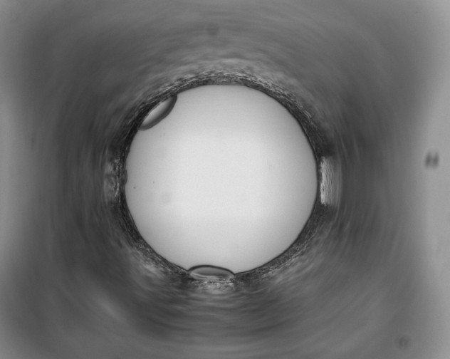 X0000100191491200806131155