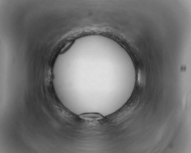 X0000100191492200806131155