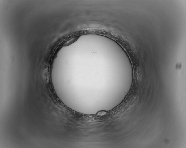 X0000100191493200806131155