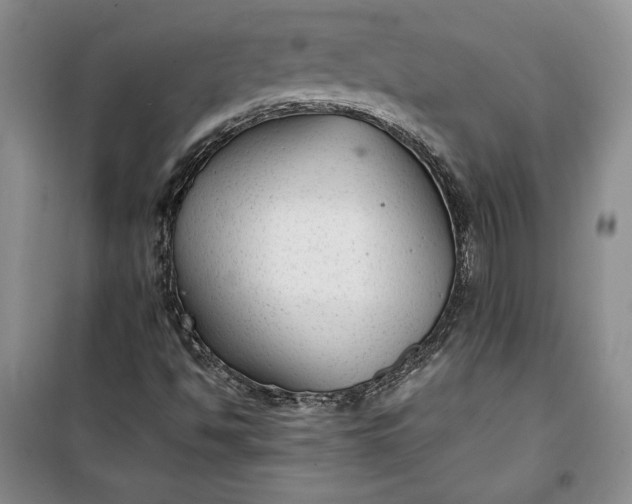 X0000100191494200806131155