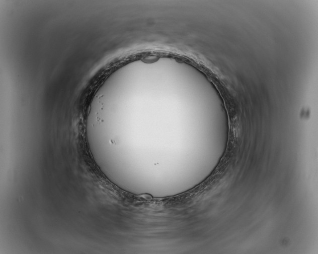 X0000100191495200806131155