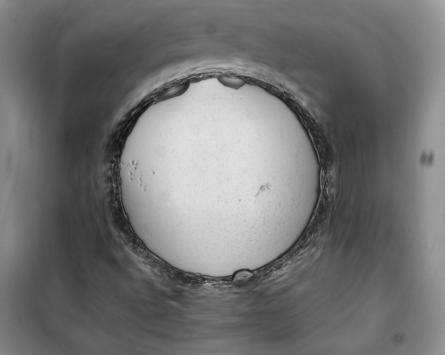 X0000100191496200806131155