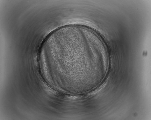 X0000100191497200806131155