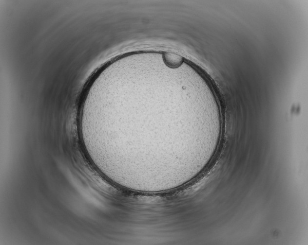 X0000100191498200806131155