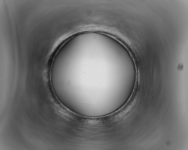 X0000100191501200806131155