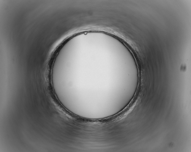 X0000100191502200806131155