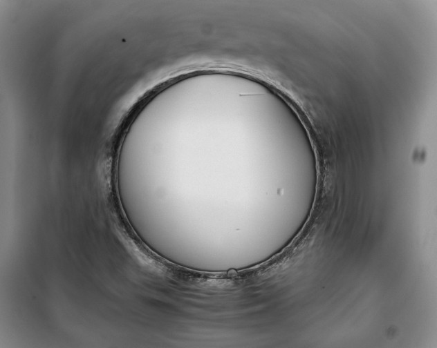 X0000100191503200806131155