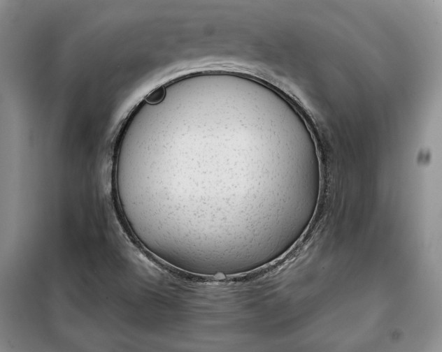 X0000100191504200806131155