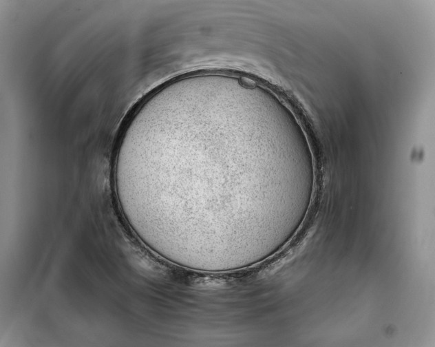 X0000100191505200806131155