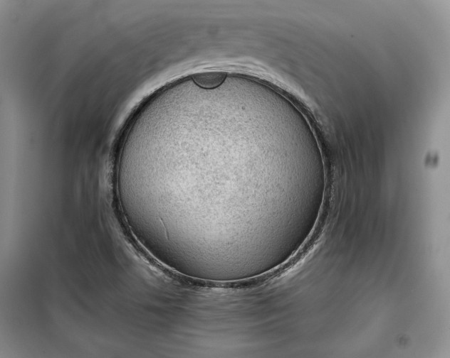 X0000100191506200806131155