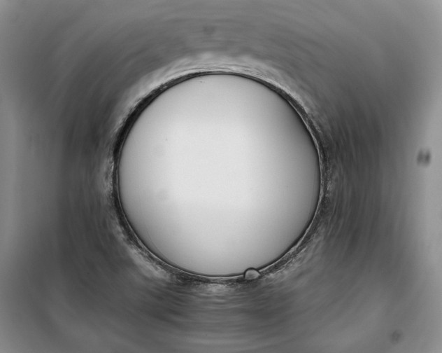 X0000100191507200806131155