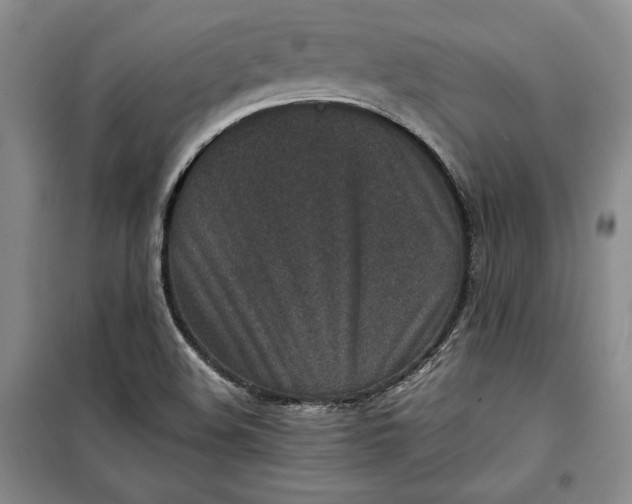 X0000100191508200806131155