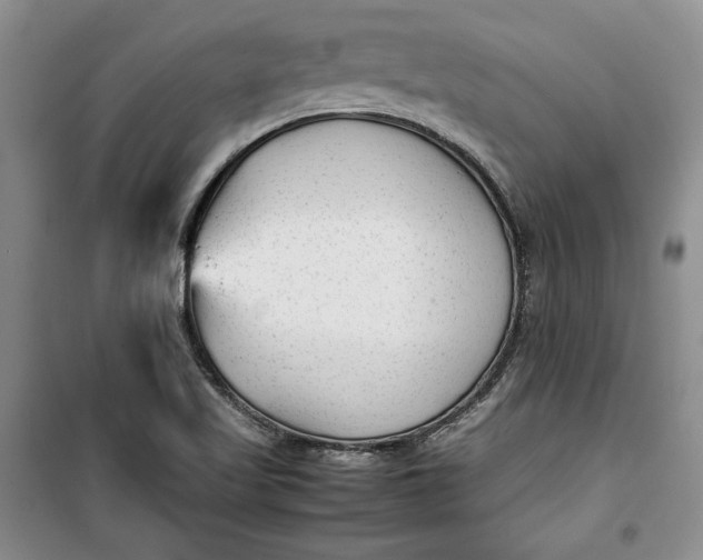 X0000100191509200806131155