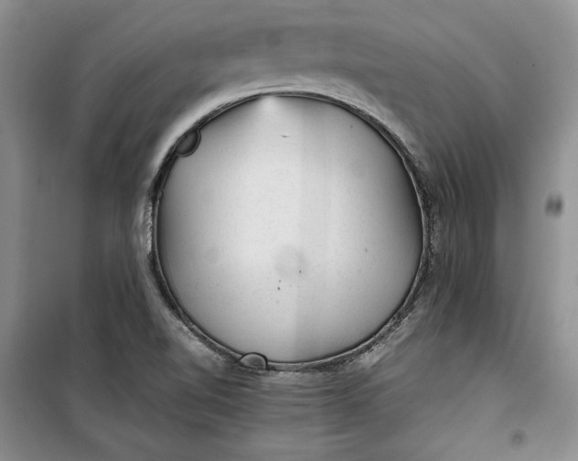 X0000100191510200806131155