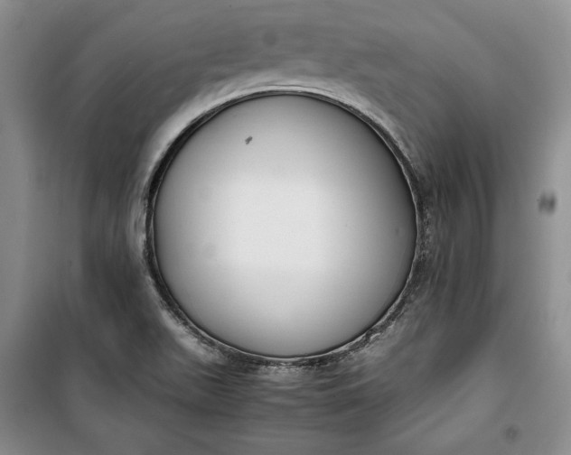 X0000100191511200806131155