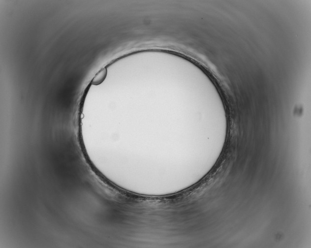 X0000100191512200806131155