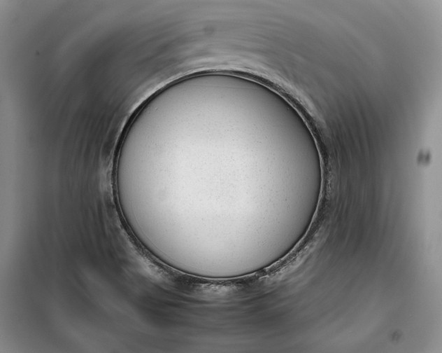 X0000100191513200806131155