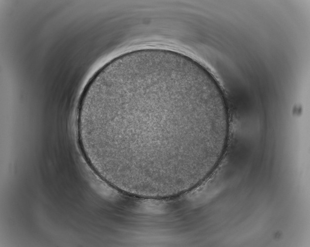 X0000100191514200806131155