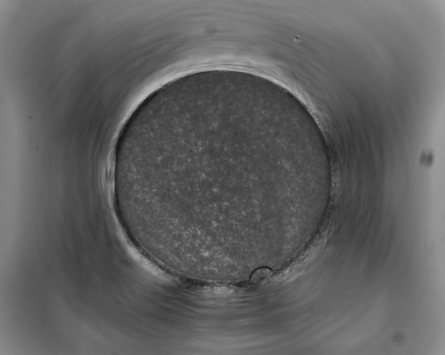 X0000100191515200806131155