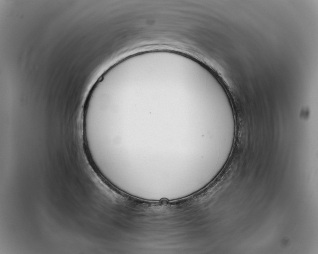 X0000100191516200806131155