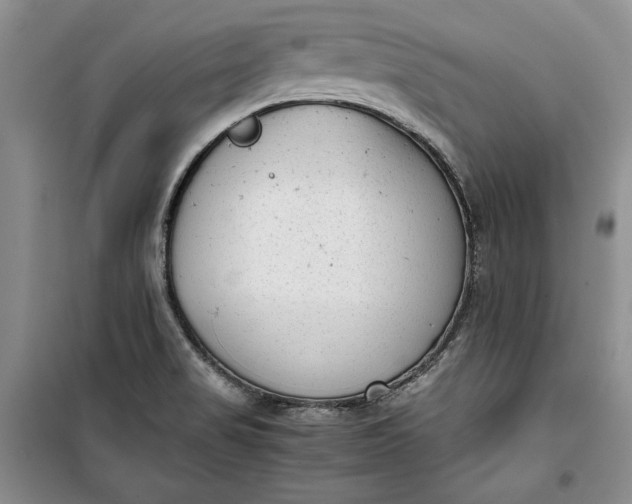 X0000100191517200806131155