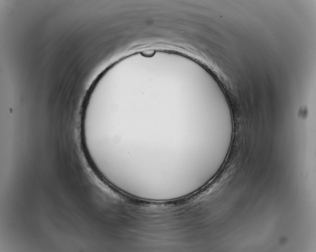 X0000100191518200806131155