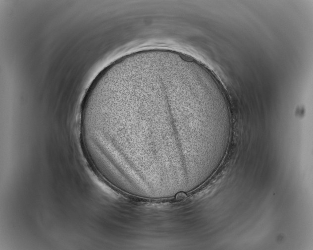 X0000100191519200806131155