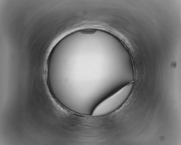 X0000100191520200806131155