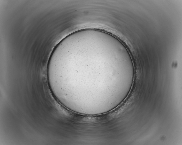 X0000100191521200806131155