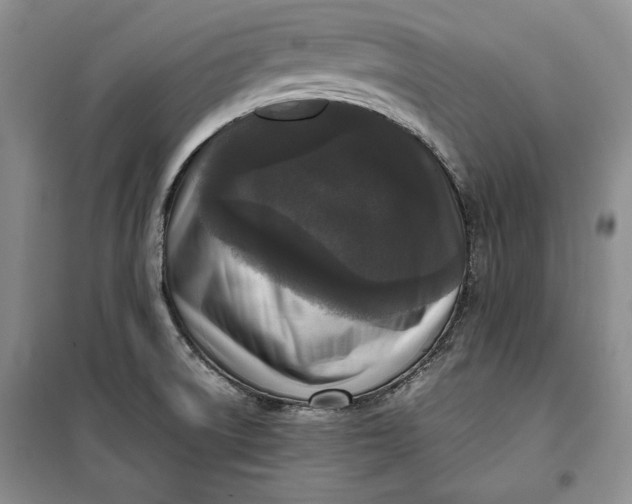 X0000100191522200806131155