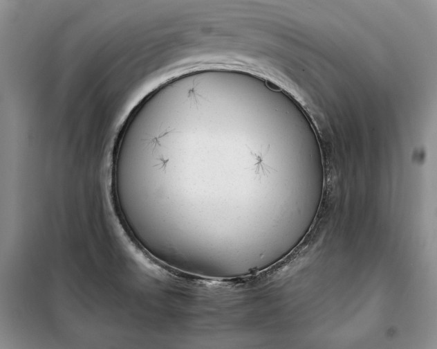 X0000100191523200806131155