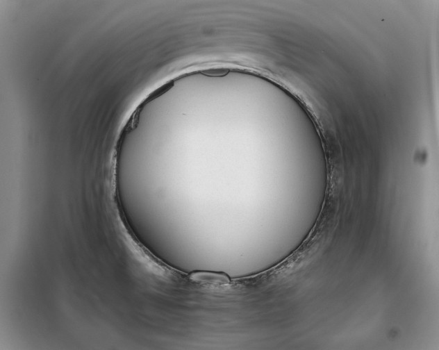 X0000100191524200806131155