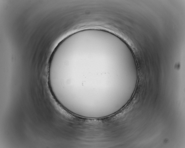 X0000100191526200806131155