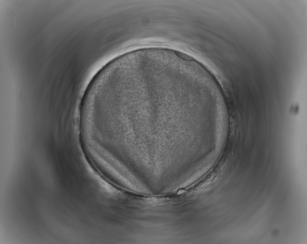 X0000100191527200806131155