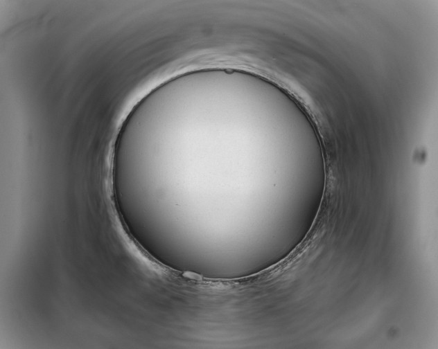 X0000100191528200806131155