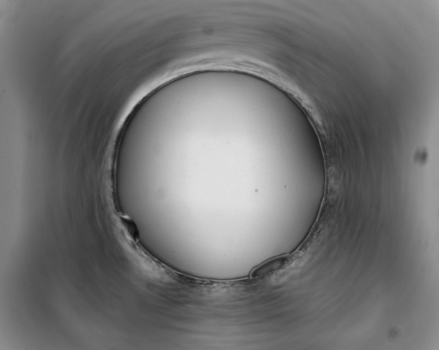 X0000100191530200806131155