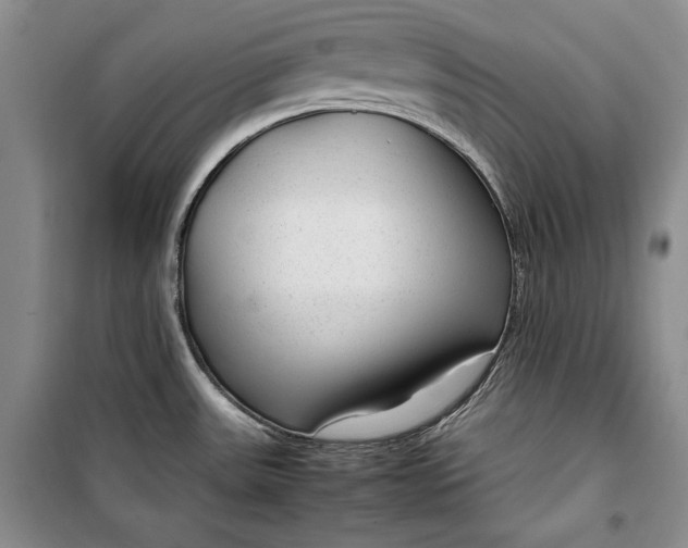 X0000100191531200806131155