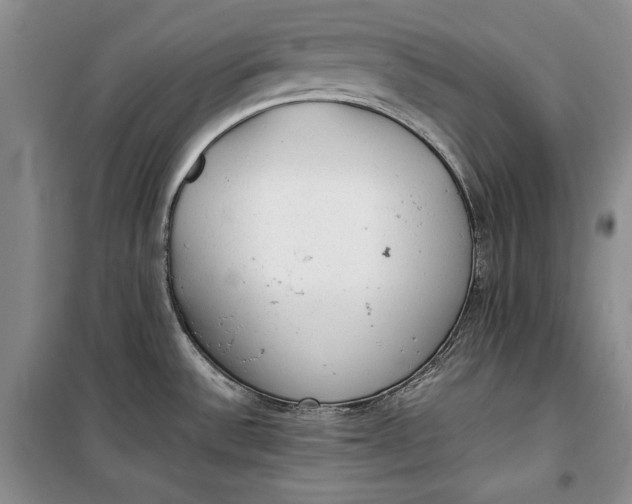 X0000100191532200806131156