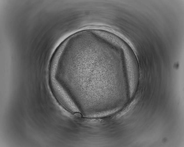 X0000100191533200806131156