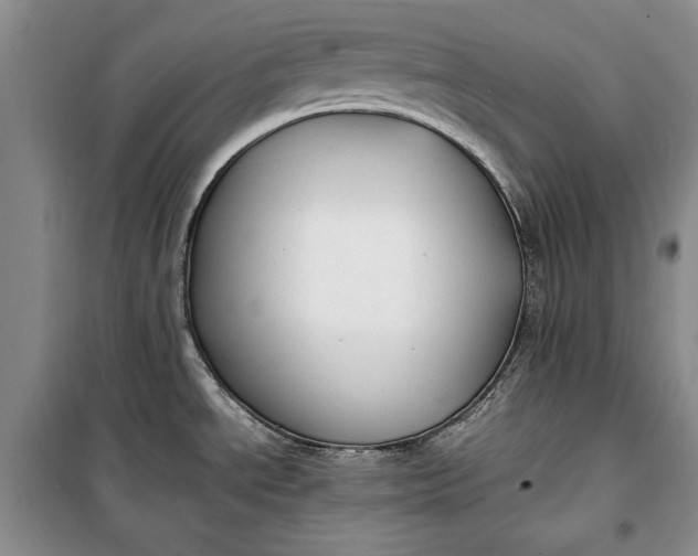 X0000100191534200806131156