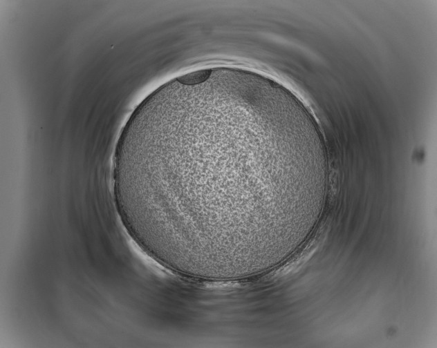 X0000100191535200806131156