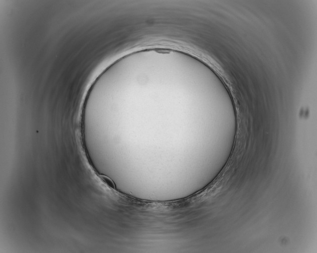 X0000100191536200806131156