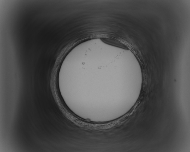 X0000100190001200806201304
