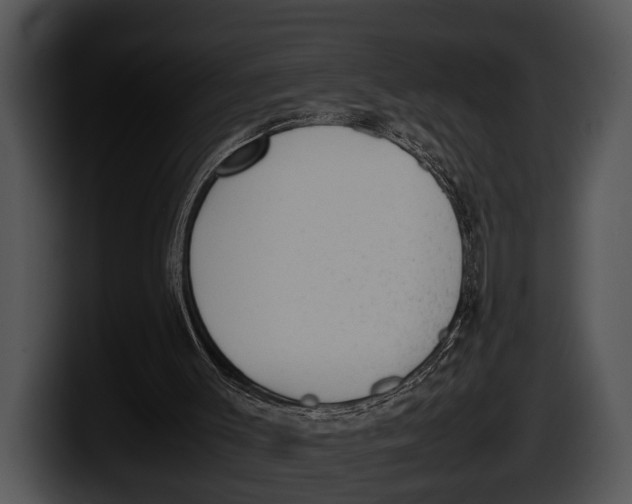 X0000100190003200806201304